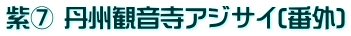 紫⑦ 丹州観音寺アジサイ(番外)