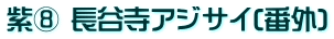 紫⑧ 長谷寺アジサイ(番外)