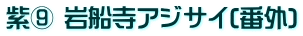 紫⑨ 岩船寺アジサイ(番外)