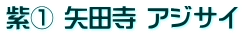 紫① 矢田寺 アジサイ