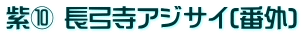 紫⑩ 長弓寺アジサイ(番外)