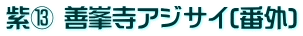 紫⑬ 善峯寺アジサイ(番外)