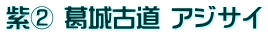 紫② 葛城古道 アジサイ