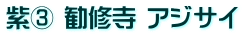 紫③ 勧修寺 アジサイ