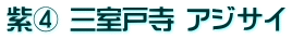 紫④ 三室戸寺 アジサイ