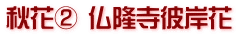 秋花② 仏隆寺彼岸花