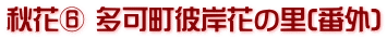 秋花⑥ 多可町彼岸花の里(番外)