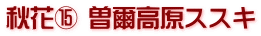 秋花⑮ 曽爾高原ススキ