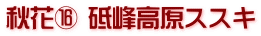 秋花⑯ 砥峰高原ススキ