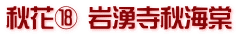 秋花⑱ 岩湧寺秋海棠