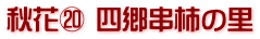 秋花⑳ 四郷串柿の里