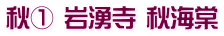 秋① 岩湧寺 秋海棠