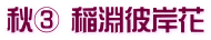 秋③ 稲淵彼岸花