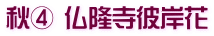 秋④ 仏隆寺彼岸花