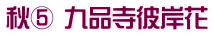 秋⑤ 九品寺彼岸花