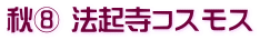 秋⑧ 法起寺コスモス