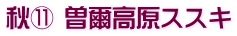 秋⑪ 曽爾高原ススキ