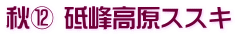 秋⑫ 砥峰高原ススキ