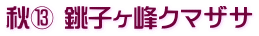 秋⑬ 銚子ヶ峰クマザサ