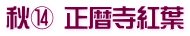 秋⑭ 正暦寺紅葉