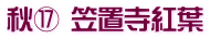秋⑰ 笠置寺紅葉