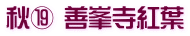 秋⑲ 善峯寺紅葉