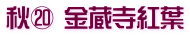 秋⑳ 金蔵寺紅葉