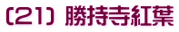 (21) 勝持寺紅葉