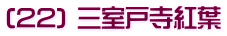 (22) 三室戸寺紅葉