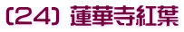 (24) 蓮華寺紅葉