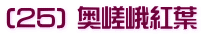 (25) 奥嵯峨紅葉