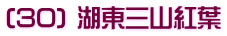 (30) 湖東三山紅葉
