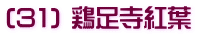 (31) 鶏足寺紅葉