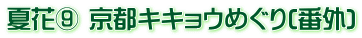夏花⑨ 京都キキョウめぐり(番外)