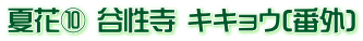 夏花⑩ 谷性寺 キキョウ(番外)