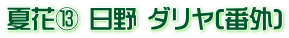夏花⑬ 日野 ダリヤ(番外)