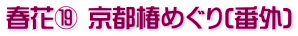 春花⑲ 京都椿めぐり(番外)