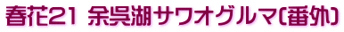 春花21 余呉湖サワオグルマ(番外)