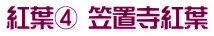 紅葉④ 笠置寺紅葉
