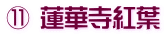 ⑪ 蓮華寺紅葉
