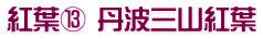 紅葉⑬ 丹波三山紅葉