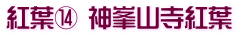 紅葉⑭ 神峯山寺紅葉