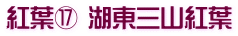 紅葉⑰ 湖東三山紅葉