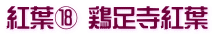 紅葉⑱ 鶏足寺紅葉