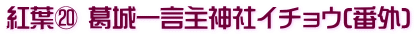 紅葉⑳ 葛城一言主神社イチョウ(番外)
