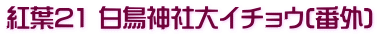 紅葉21 白鳥神社大イチョウ(番外)