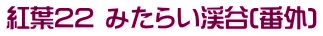 紅葉22 みたらい渓谷(番外)