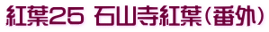 紅葉25 石山寺紅葉（番外）