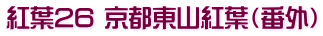 紅葉26 京都東山紅葉（番外）