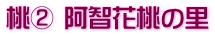 桃② 阿智花桃の里